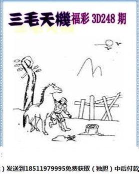 三毛3D图库旺彩网,探索奇幻世界，尽享视觉盛宴